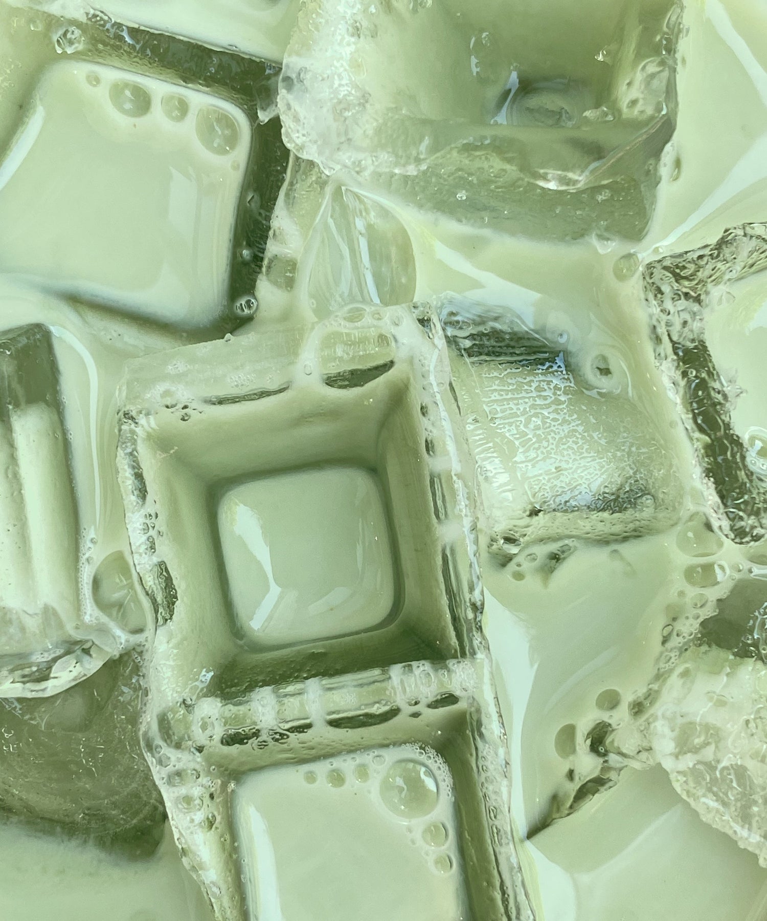 The Milky Matcha Latte Bag