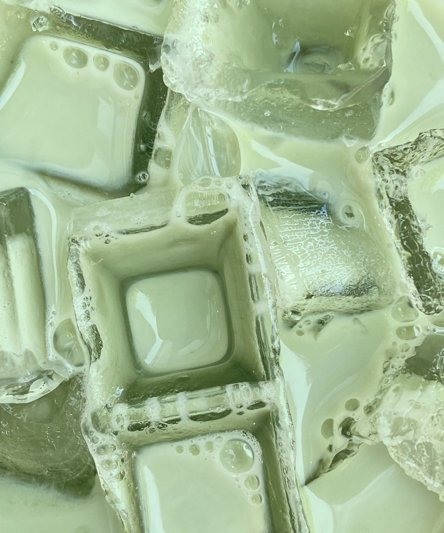 The Milky Matcha Latte Bag