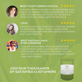 MatchaDNA Organic Culinary Matcha Green Tea Powder 16 oz